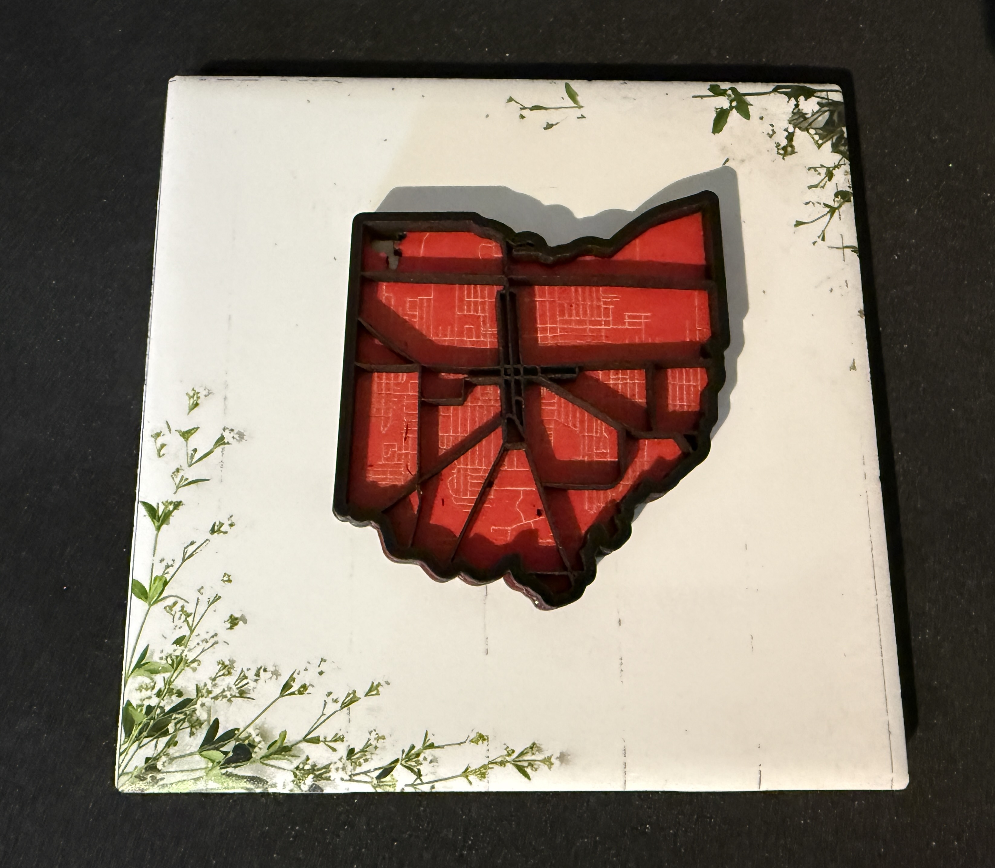 Ohio State Magnet Red Detail
