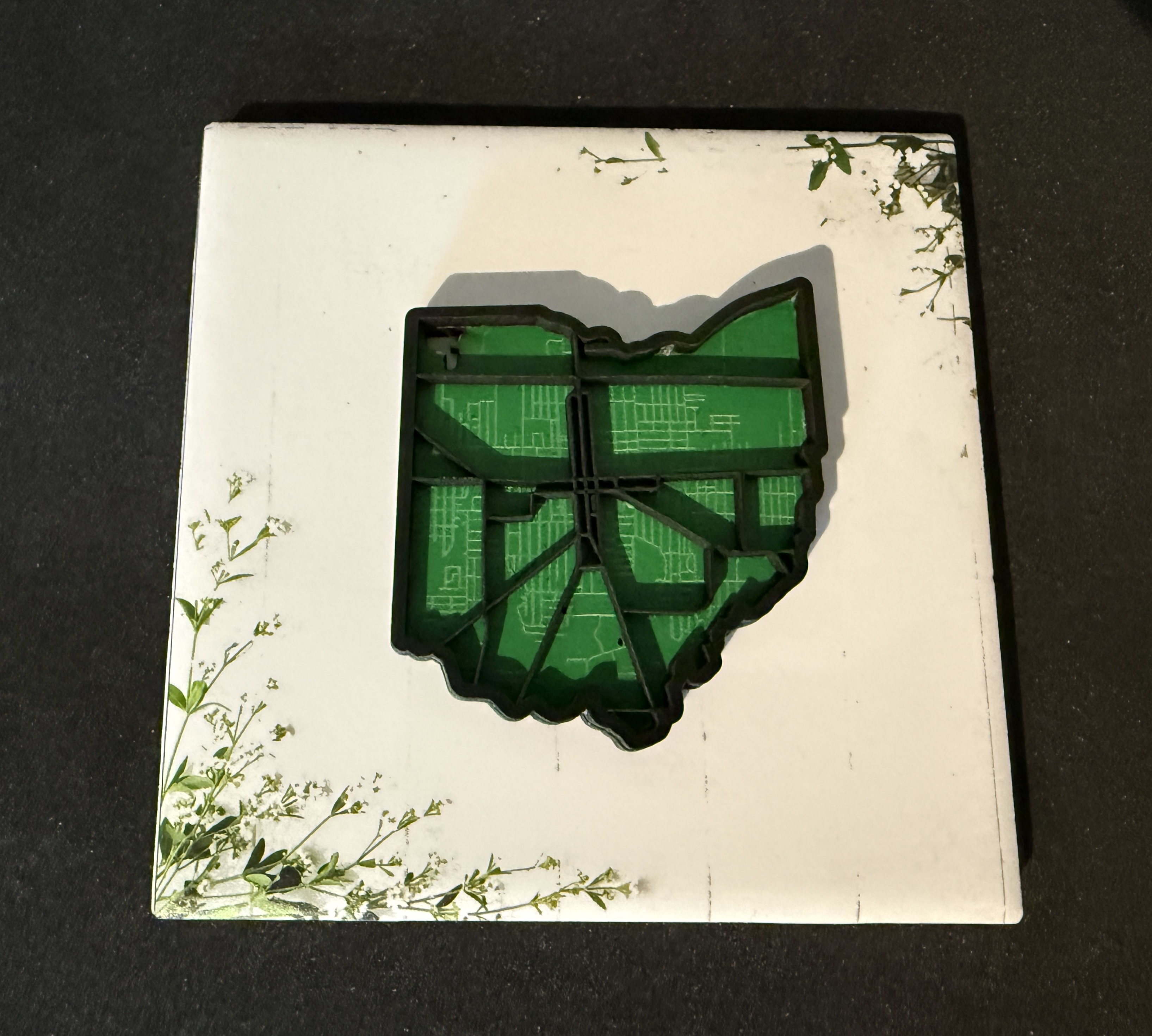 Ohio State Magnet Green